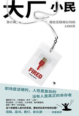大厂小民：我在互联网公司的1480天 封面