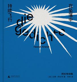 在坠落中持续飞行：阿伦特诗集 封面