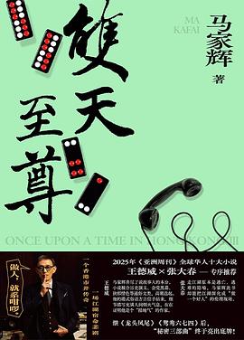 双天至尊 封面