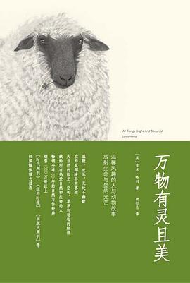 万物有灵且美 封面