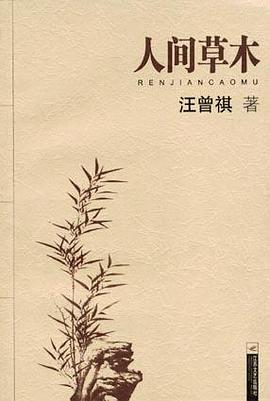 人间草木 封面