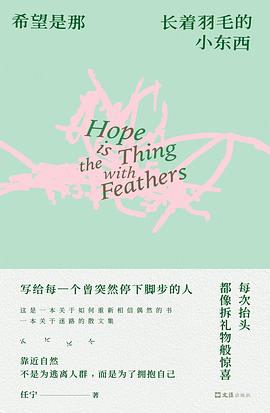 希望是那长着羽毛的小东西 封面