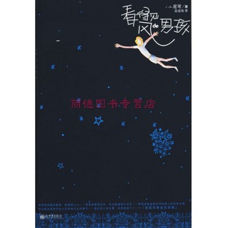看得见风的男孩 封面